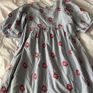 Pink Chicken Blue Gingham Dress with Red Rose Embroidery size 7